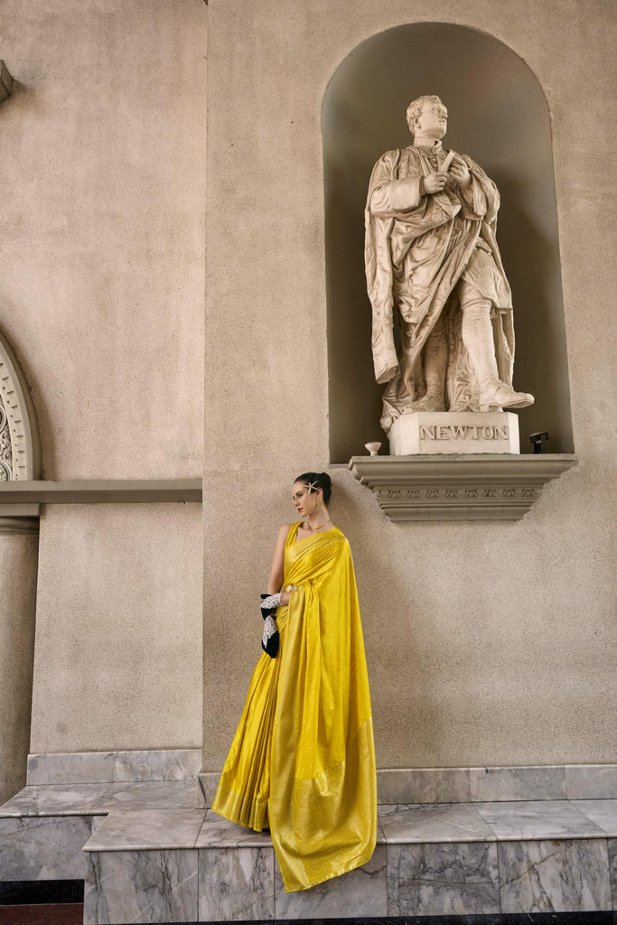 Draped in Royalty: Banarasi Silk with Golden Zari Grandeur