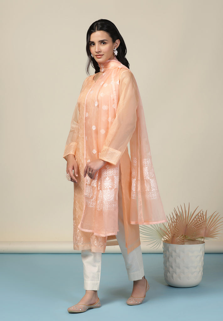 Resham Thread Work Suit  | Bombay Selections